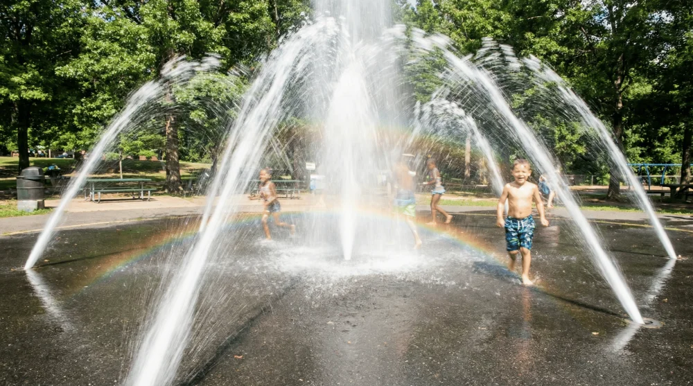 Göztepe 60. Yıl Parkı: Lale Bahçeleri, Otopark ve Ulaşım