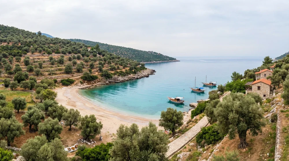 Dikili Koyları ve Plajları: Yol Durumu ve Tekne Turları