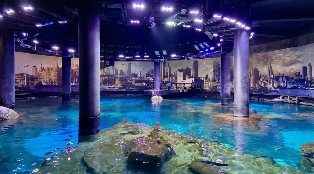 Istanbul florya akvaryum nerede nasil gidilir