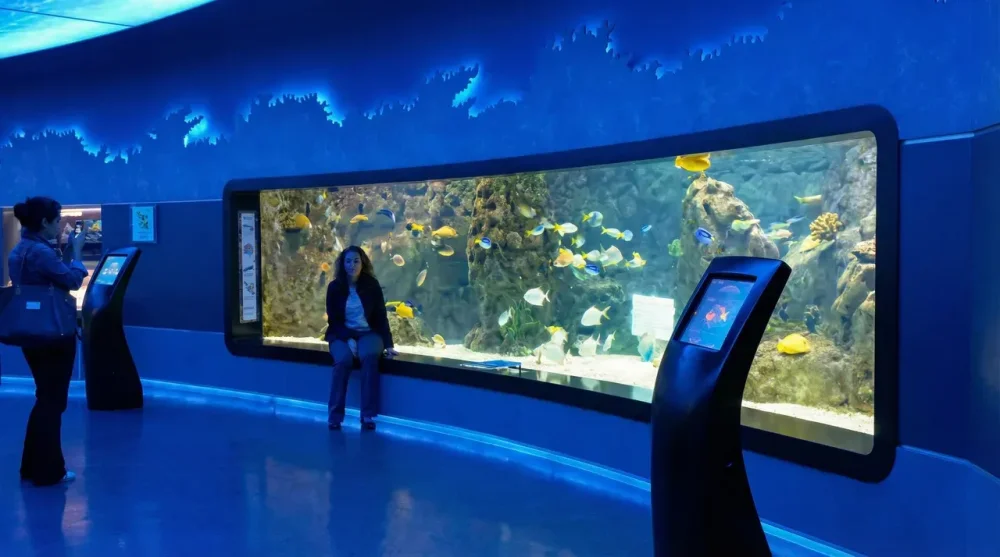 Istanbul florya akvaryumu giris ucreti