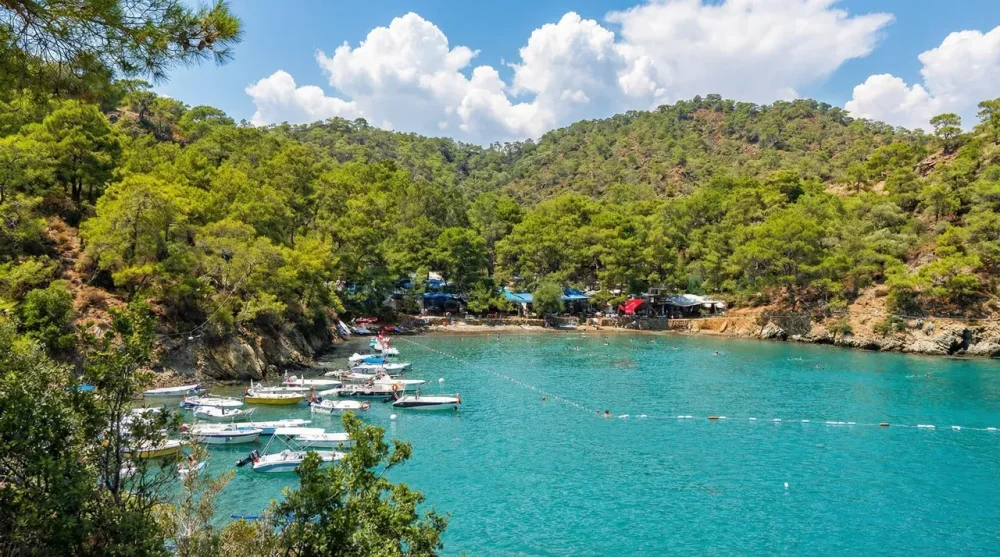 Katrancı Koyu Orman Kampı Fiyatları ve Ulaşım Yolları