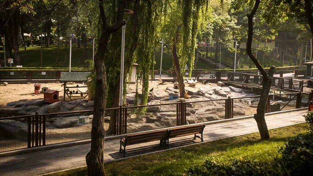 Kecioren evcil hayvanlar parki nerede nasil gidilir