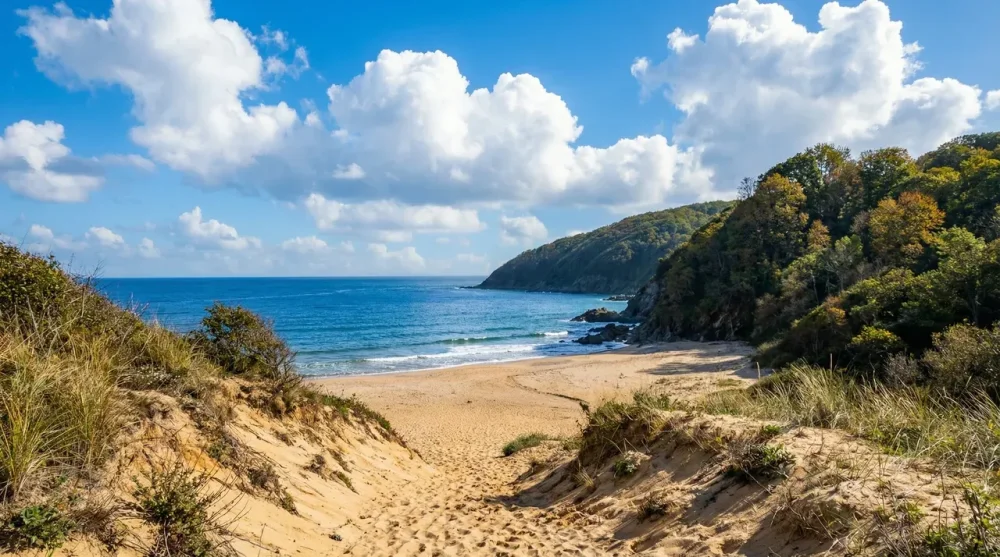 Küçük Malatra Koyu Kamp Alanı ve Ulaşım