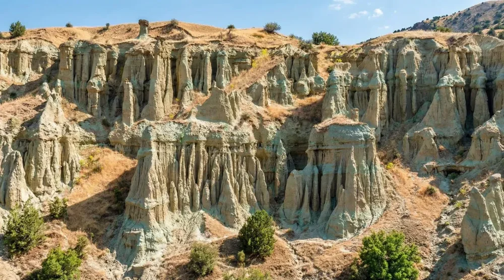 Kula peri bacalari ozellikleri