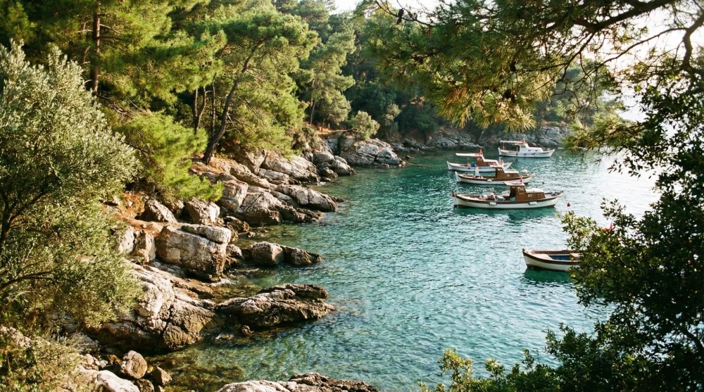 Tuzla Mercan Koyu doğal kayalıklar ve yeşillikler i&ccedil;indeki deniz