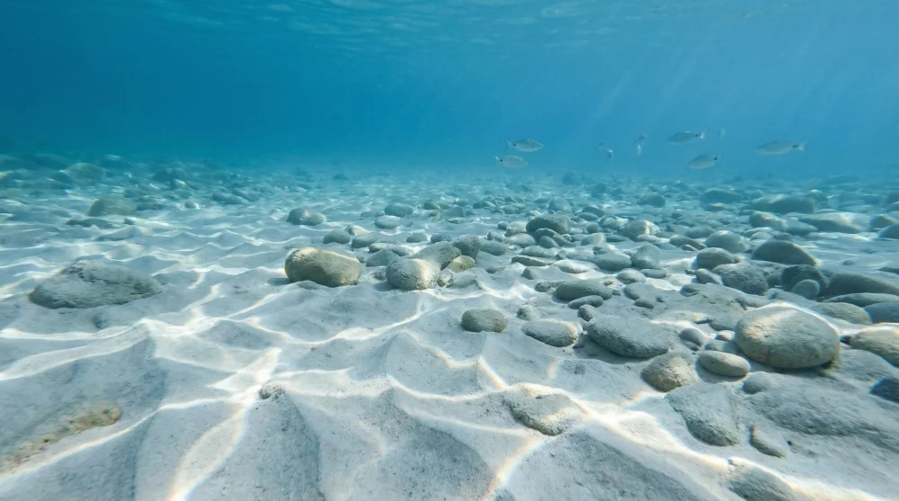 K&uuml;&ccedil;&uuml;k Zindancık Koyu'nun dibindeki beyaz kumları g&ouml;steren berrak deniz suyu