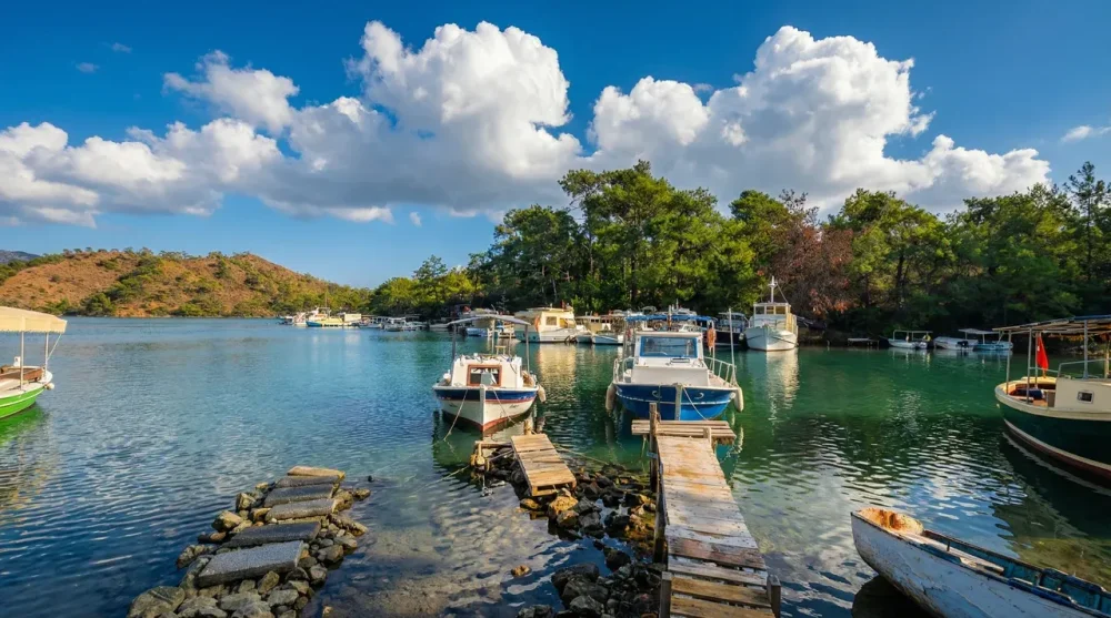 Balık Aşıran Koyu Yol Durumu ve Tesissiz Kamp Detayları