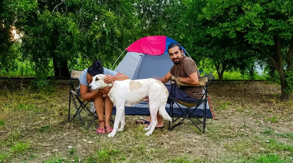 Bodrum Ecofarm Çadır Kamp Alanı ve Hostel Olanakları