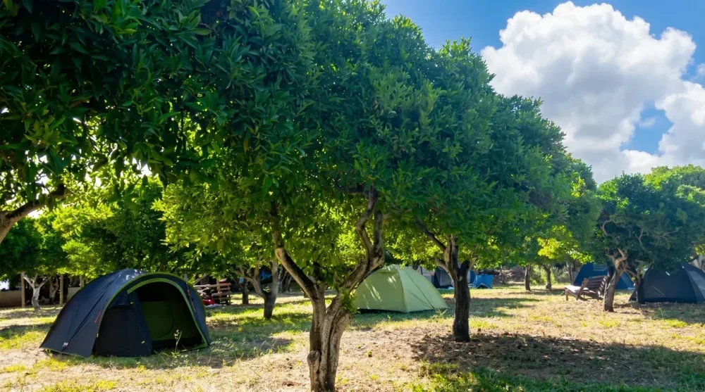 Bodrum ecofarm cadir kamp alani