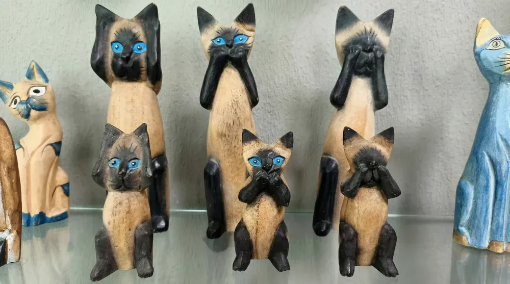 Cat Museum in Šiauliai: Tickets, Live Cats and Mini Zoo