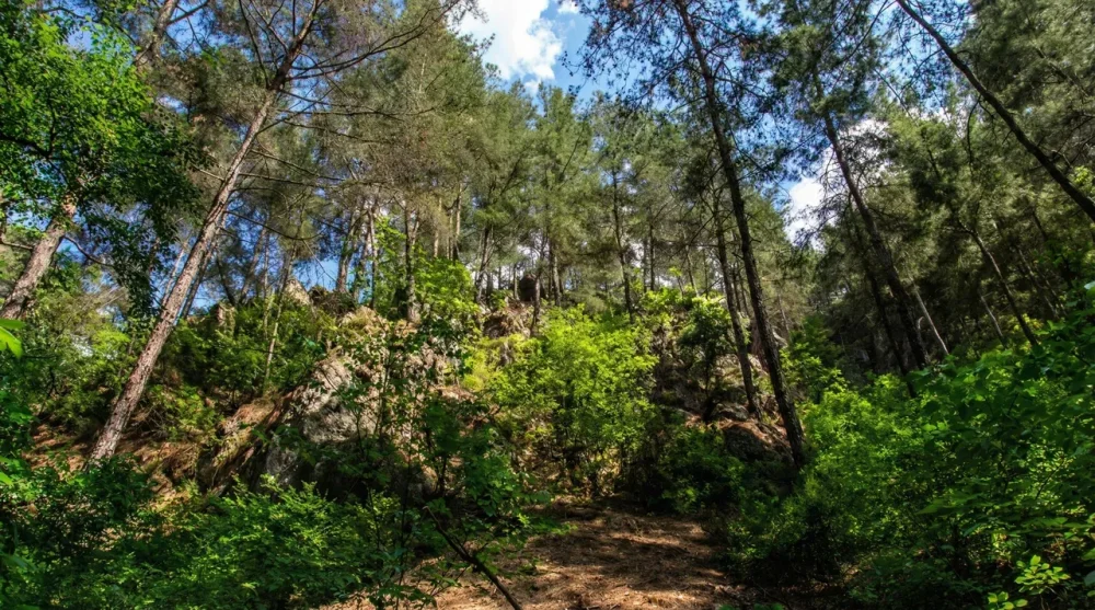 Geyik kanyonu trekking yuruyus