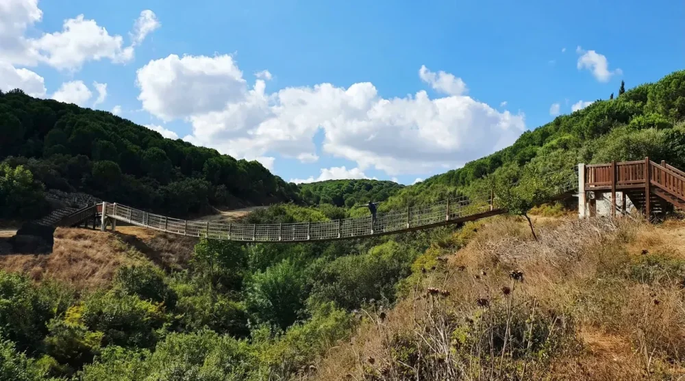 Mimar sinan kent ormani kopru