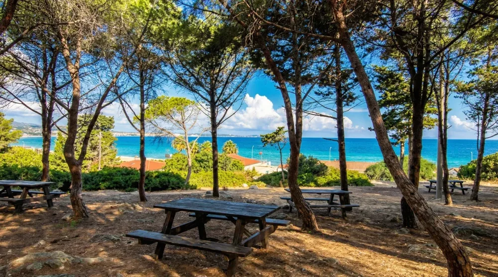 Tanay Tabiat Parkı: Giriş Ücreti, Kamp ve Ulaşım