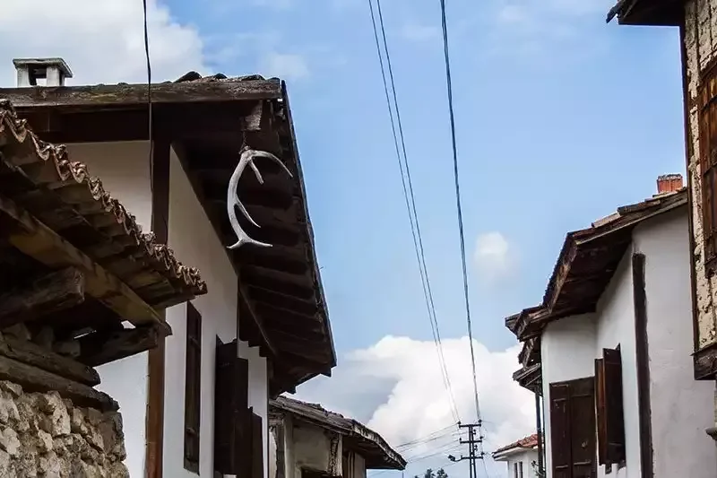 Yoruk koyu safranbolu keci boynuzu