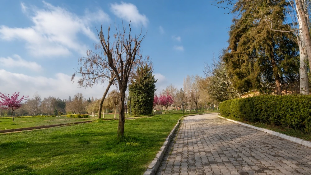Çamlık Parkı'nda ilkbaharda yürüyüş yolu