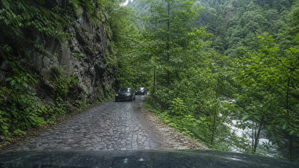 Palovit Şelalesi yolunda orman ve dere kenarındaki dar taş döşeli geçit