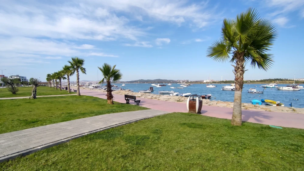 Balyanoz Koyu sahil parkında palmiye ve yürüyüş yolu