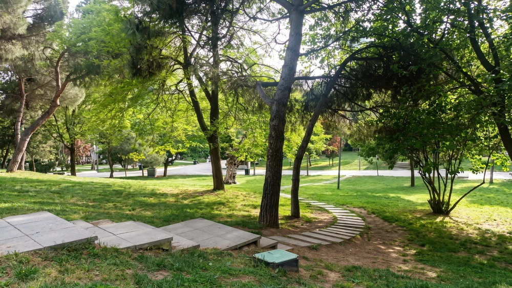 Maçka Parkı'nda çam ağaçları ve taş basamaklı patika olan güneşli çimenlik