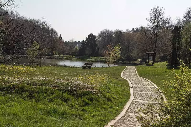 Ataturk Arboretumu Yolu