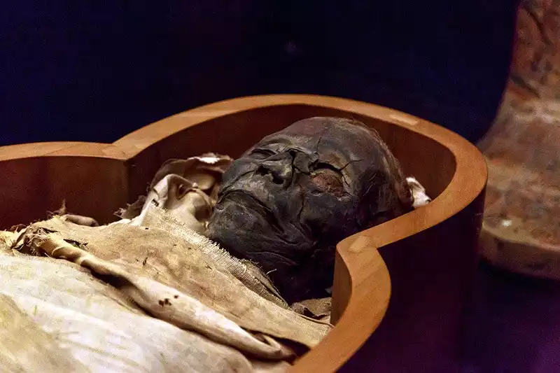 Vatikan Muzesi Mumya Sergisi