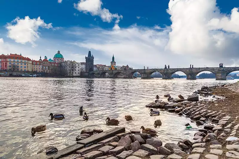 Prag Charles Koprusu Vltava Nehri