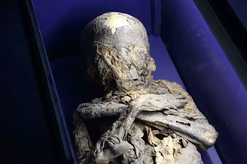 Prag Ulusal Muze Bebek Mumya