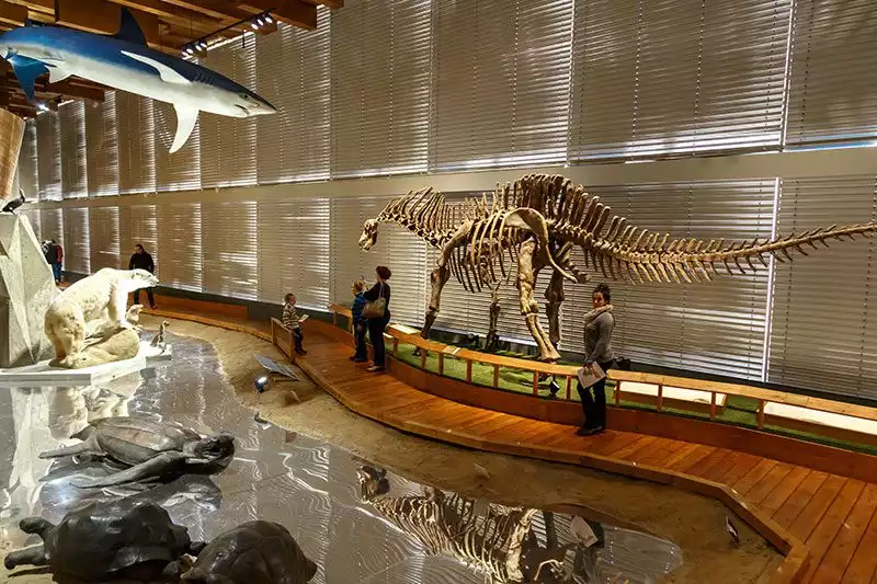 Prag Ulusal Muze Dinozor Hayvanlar