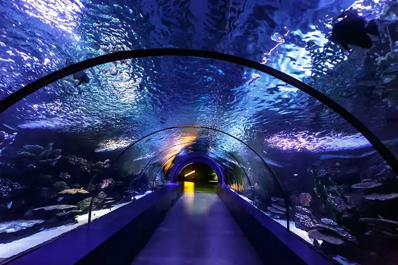 Antalya Akvaryum En Uzun Tuneli