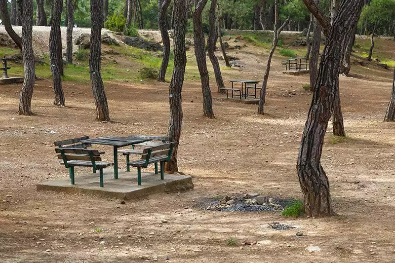 Antalya Hayvanat Bahcesi Piknik Masalari