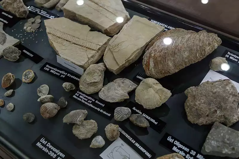 Mersin Arkeoloji Muzesi Kayaclar