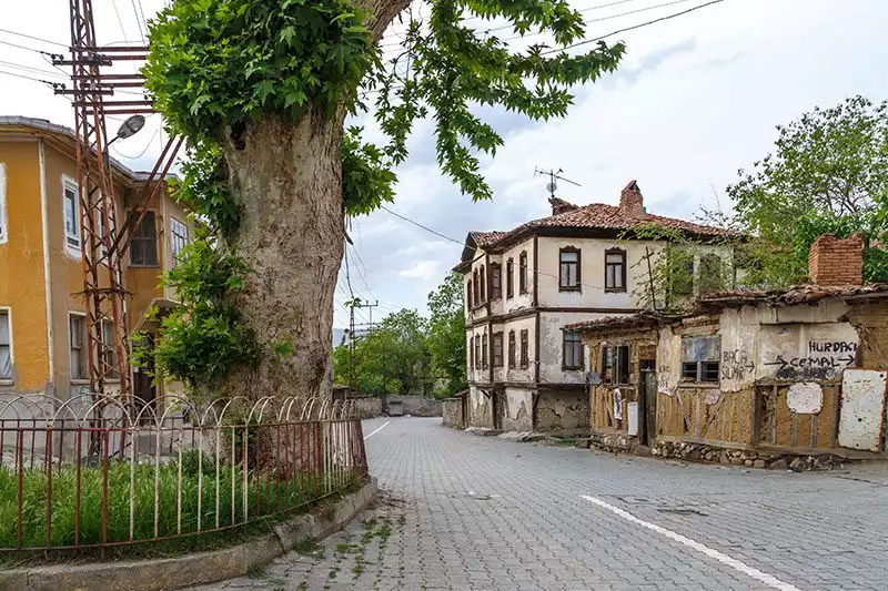 Sinop Tarihi Eski Boyabat Evleri Caddesi