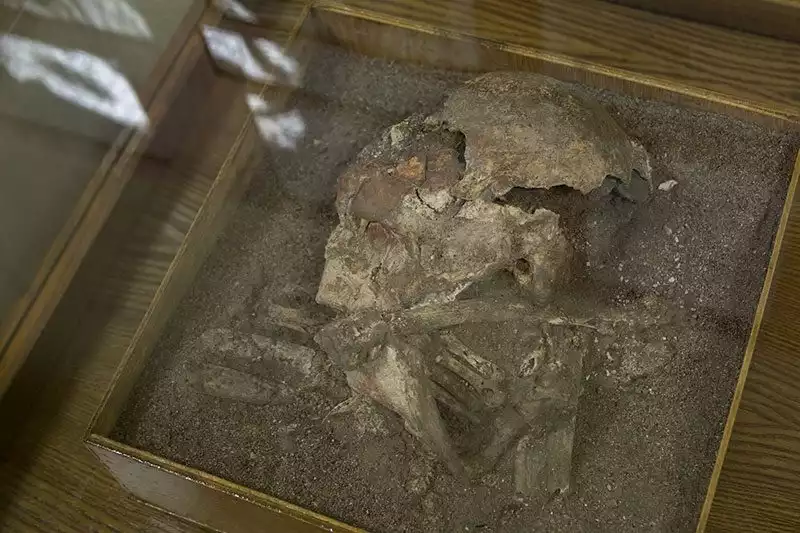 Konya Arkeoloji Muzesi Sivali Kafatasi