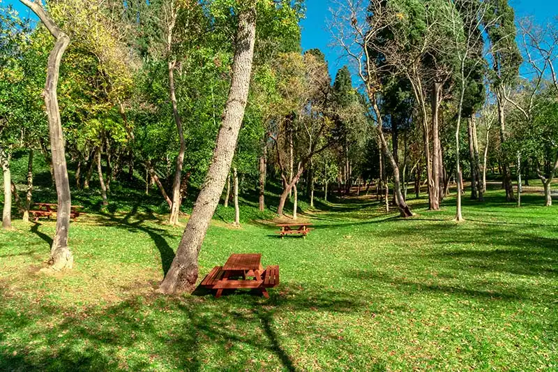 Yildiz Parki Korusu Istanbul Piknik Alanlari