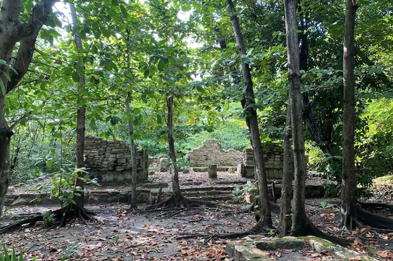 San Miguelito Archeological Site Botanic