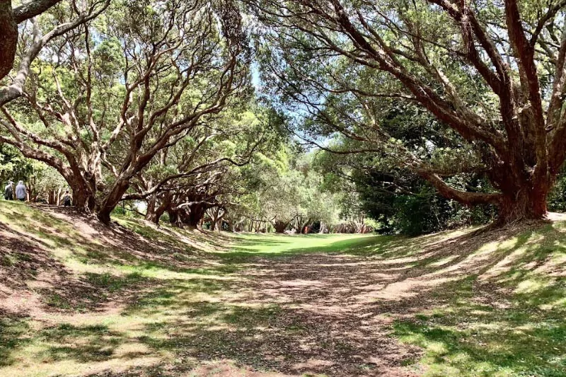 Auckland Domain Lowers Walk Trail