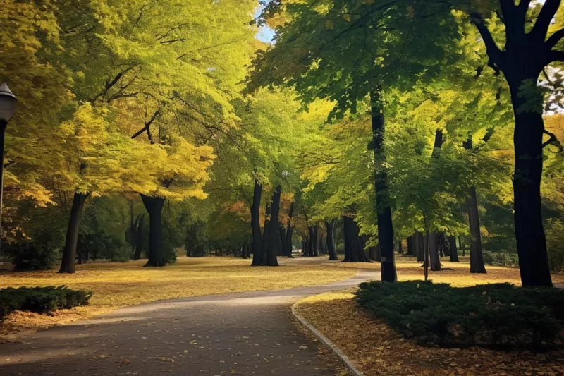 Ankara Guvenpark Kizilay Meydani Gezilecek Yerler