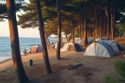 Pullu Camping Karavan Çadır Kamp Alanı