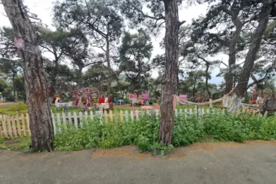 Dilburnu Tabiat Parkı: Büyükada'nın Aileler İçin En İyi Piknik Alanı